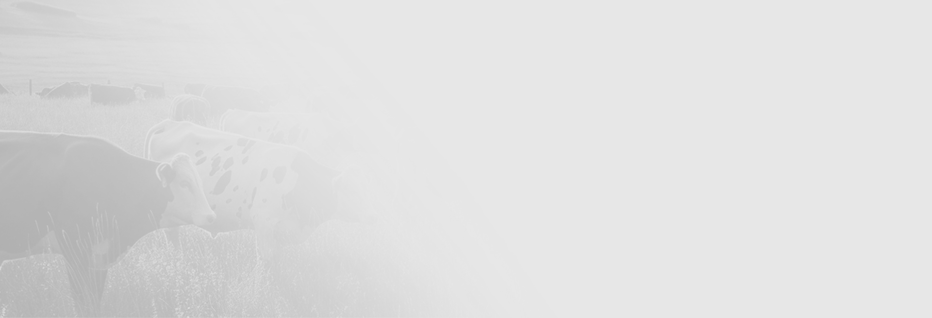 AQx - Gestão de Abate e Quarteio